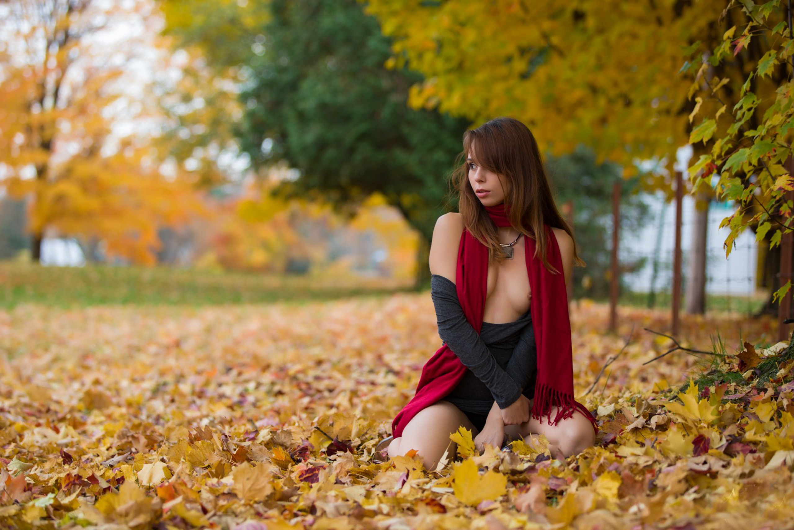 Wallpaper Brunette Outdoor Autumn Leaf Park Ariel Rebel Ariel