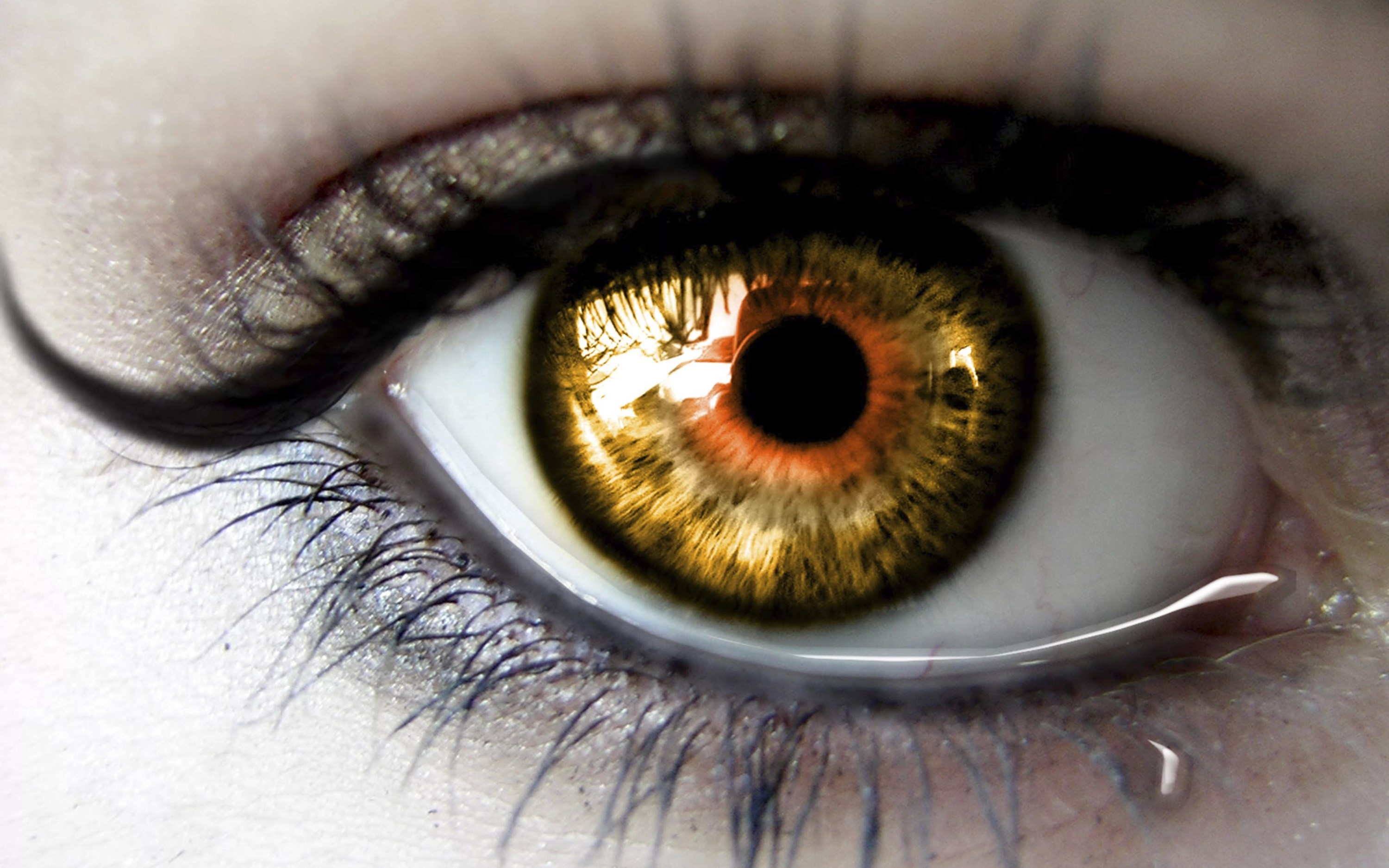 Глас. Хейзел цвет глаз. Красивые глаза. Красивые глазки. Человеческий глаз.