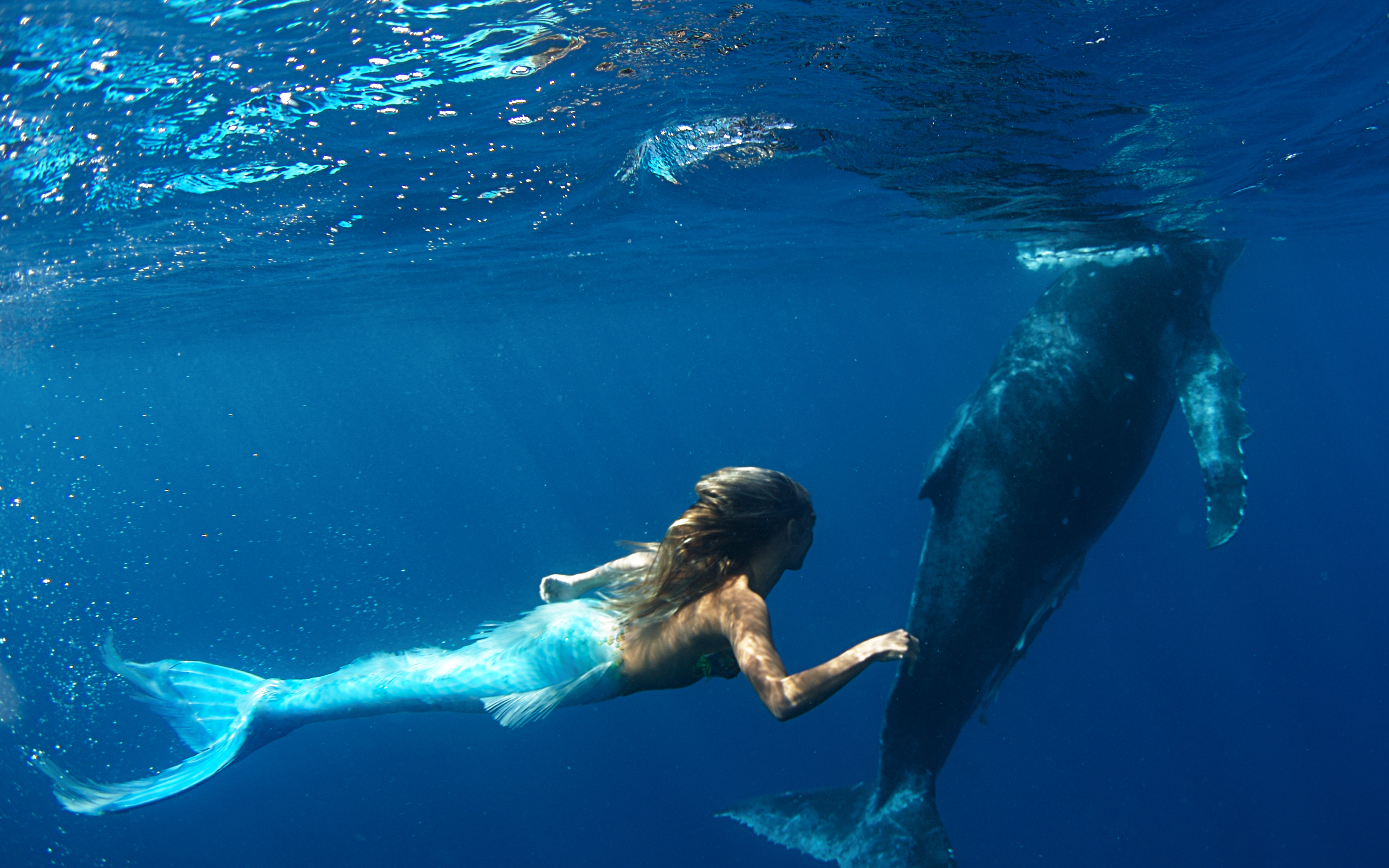 Дельфины уплывают в океан слушать. Ханна Фрейзер. Ханна Фрейзер Русалка. Ханна Фрейзер Underwater. Ханна Фрейзер Русалка аквариум.