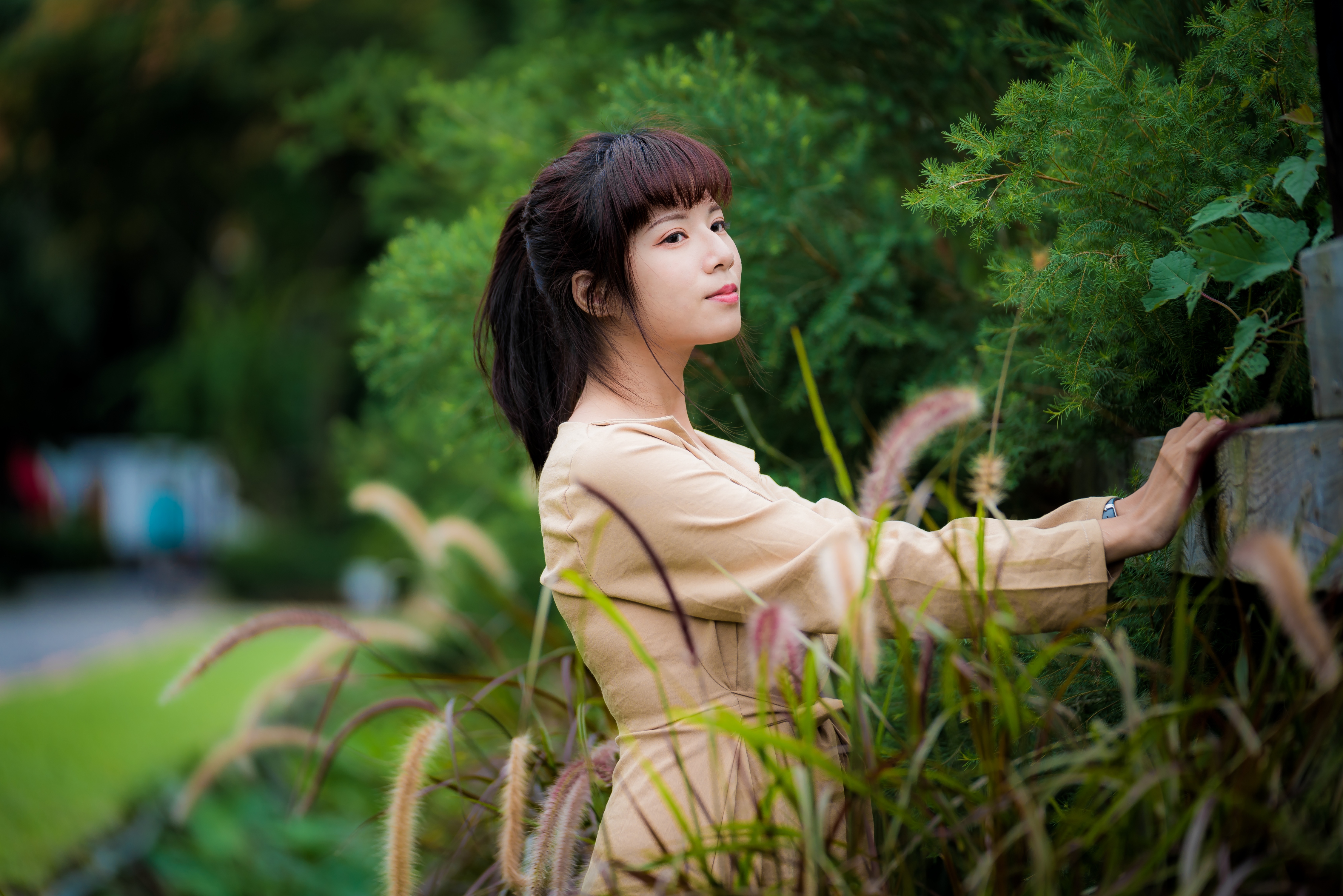 asian, sweet, cute, girl