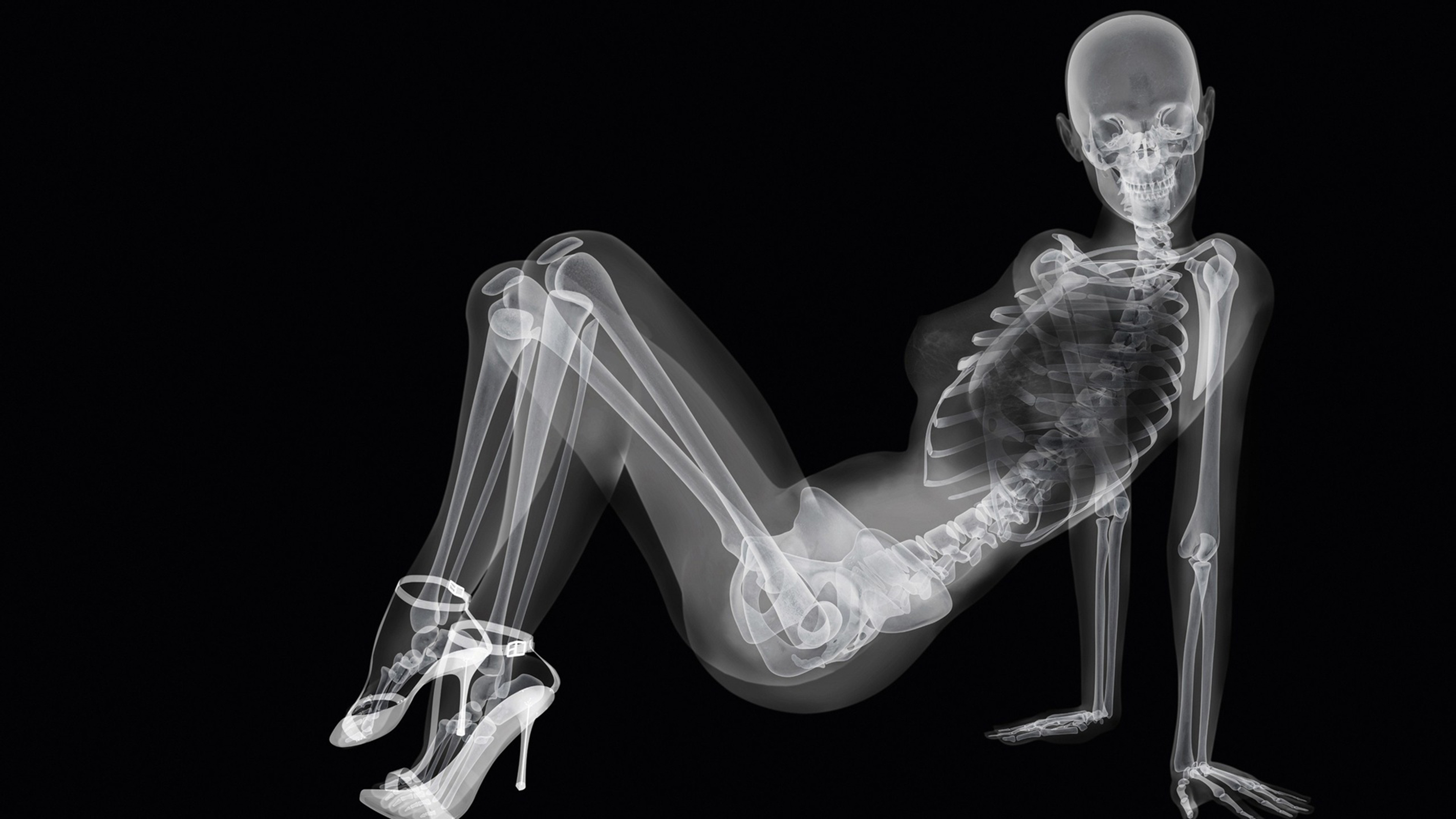 Wallpaper x-ray, skeleton, nude, heels desktop wallpaper - 3D & Vector  Girls - ID: 245718 - ftopx.com