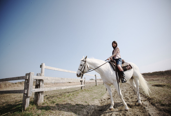 asian, horse, outdoors