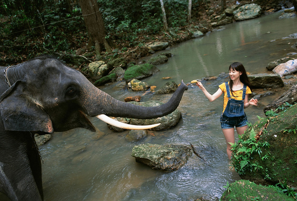 brunette, smile, asian, elephant