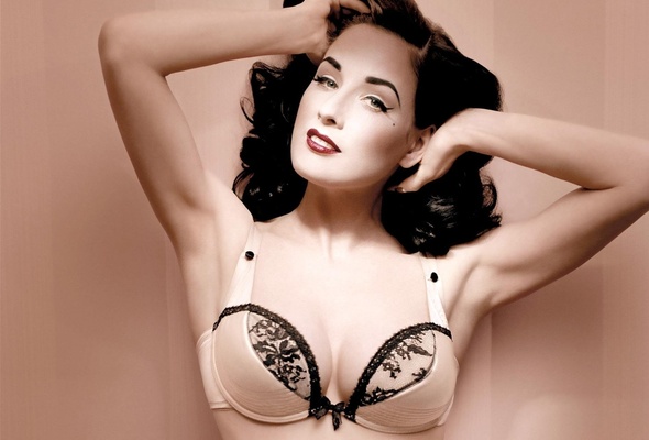 brunette, lingerie, dita von teese, international burlesque star, dita, playmate, dancer, bra, retro, pin up, smile, sexy