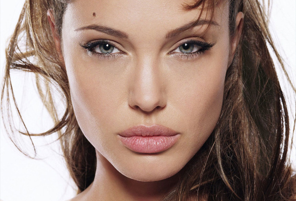 angelina jolie, actress, brunette