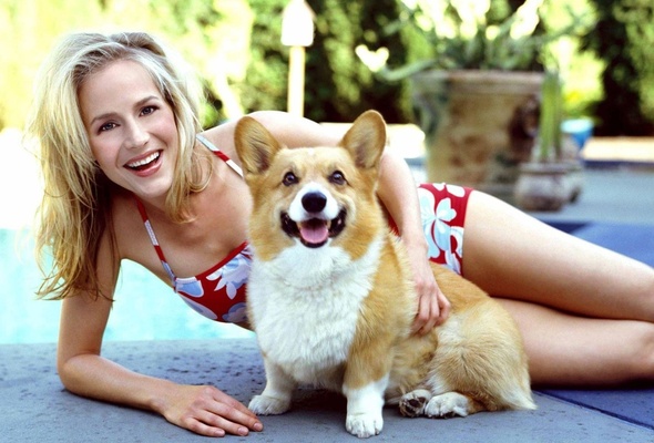 julie benz, actress, dog, blonde, happy, smile, dress