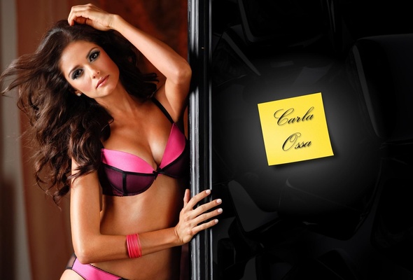 carla ossa, brunette, lingerie, model