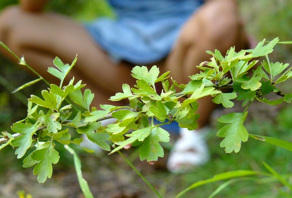 erotic, sexy, nude, gils