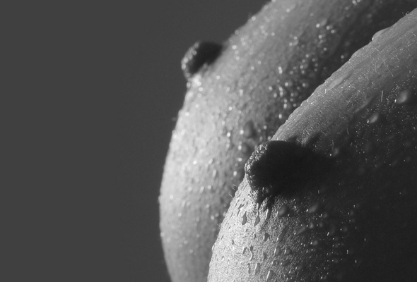 boobs, nipples, big tits, close-up, black and white