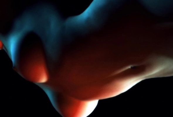 oiled, body, nude, tits