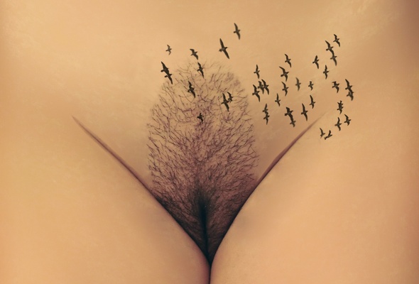 girls, pussy, cunt, vagina, birds, tree, bush, forest, nude
