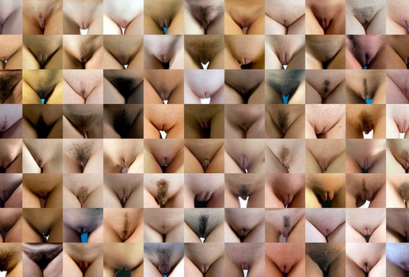 pussy, blnde, brunette, red, brown, shaved, trimmed, hairy, landstrip, cameltoes, mixed, pussy wall