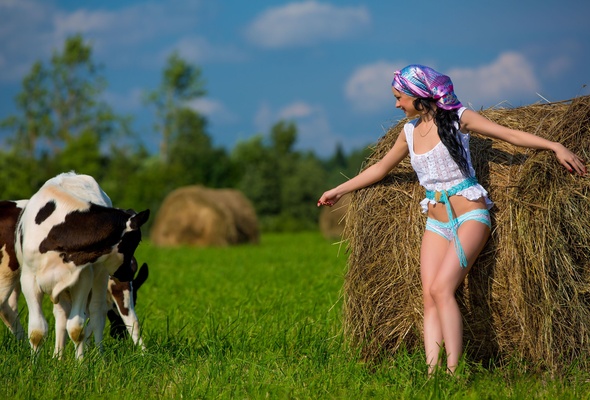 katie, brunette, sexy girl, lingerie, hay, cow, beautiful, :)