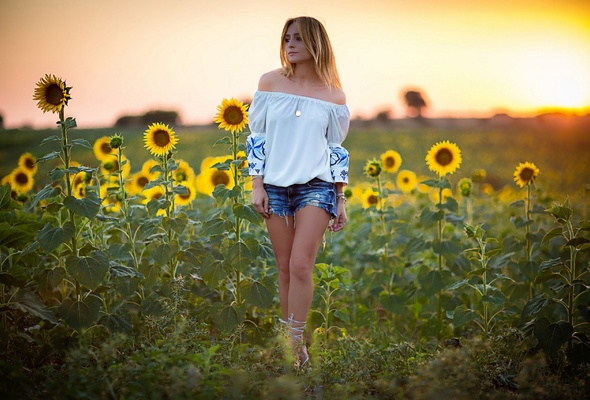 girl, sexy, outdoors, shorts, blouse, field, sunflowers, sexy legs, erotic