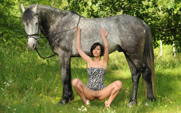brunette, dress, shaved pussy, beautyful legs, wood, horse, suzanna a, nadia p, susi r, squatting, spreading legs, pussy, bottomless, no panties