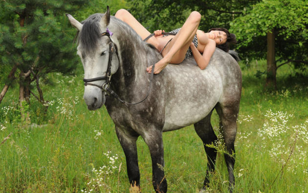 suzanna a, brunette, dress, shaved pussy, beautyful legs, in wood, on nature, horse, nadia p, susi r, bareback