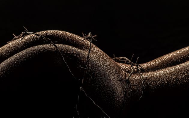 barbed wire, ass, butt, wet