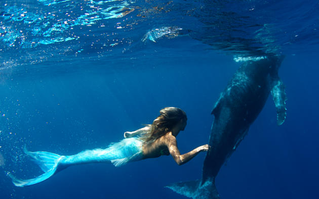 cosplay, mermaid, swimming, whale, underwater