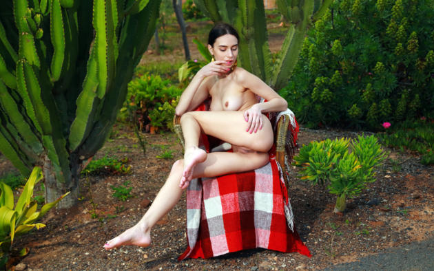 dita v, brunette, outdoors, chair, naked, boobs, tits, shaved pussy, labia, ass, anus, hi-q, cactus, ann savich