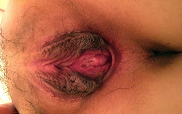 meaty pussy, gaping pussy, labia, clit, urethral orifice, anus