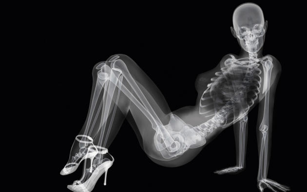 x-ray, skeleton, nude, heels