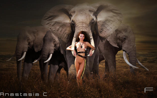 Elephant Tits - Wallpaper anastasia c, girl, teen, young, babe, cute, beauty, hot,  brunette, model, nude, porn, sexy, boobs, tits, nipples, pussy, elephant,  sword, warrior desktop wallpaper - Fantasy Girls - ID: 260874 - ftopx.com