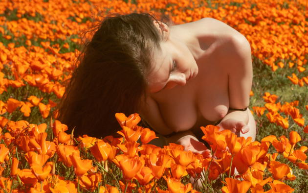 emily bloom, field of flowers, beautiful, boobs, big tits, nipples, flowers