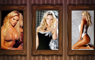 victoria silvstedt, candice swanepoel, three, model, hairs, blonde, sexy, babe, hot, beautiful, gorgeous, amazing