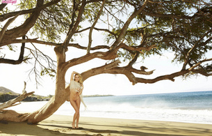 brett rossi, babe, pornstar, blonde, model, pussy, tree, beach, sea