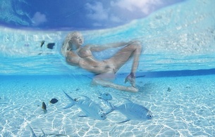 digital art, ocean fish