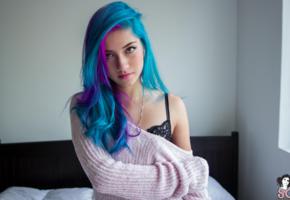 suicide girls, fay, bra, sweater, undressing, blue hair