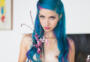 fay suicide, suicide girls, boobs, flowers, blue hair, tits, nipples