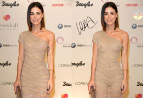 lena meyer landrut, dark hair, seethru, dressed, event, collage, compilation, fake