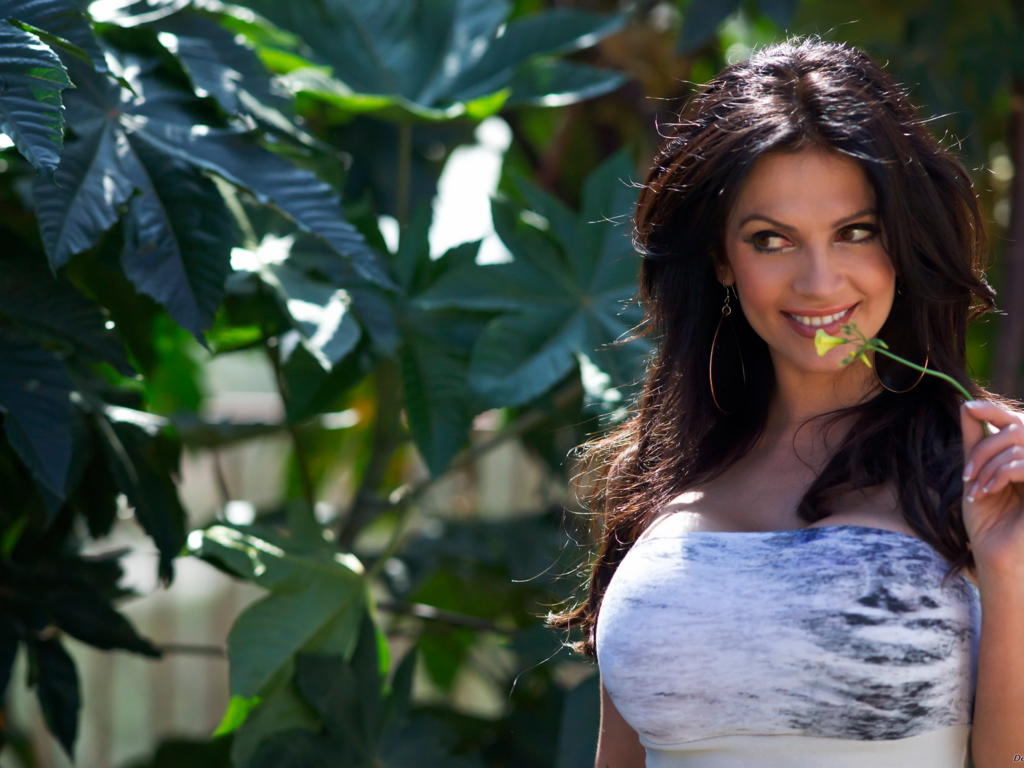 denise milani, model, cute, smile, sexy, hot, brunette