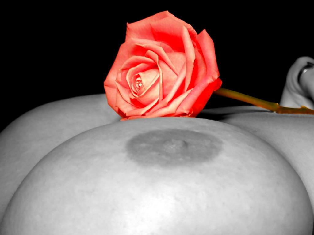 rose, flower, boobs, nipples, big tits