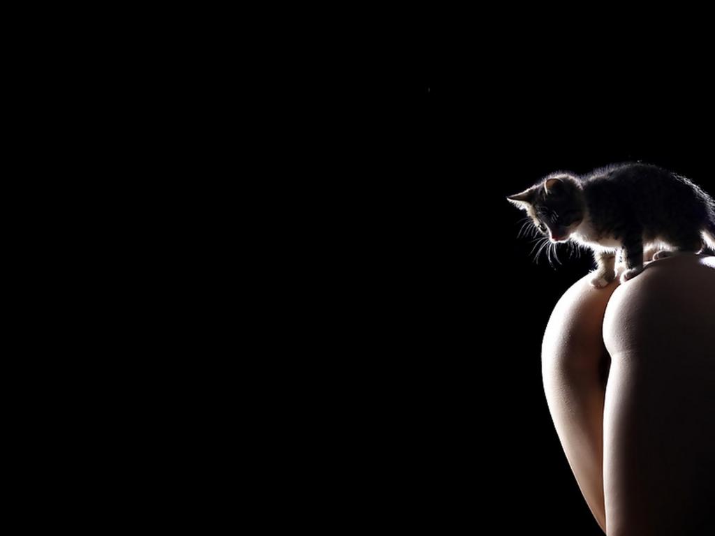 erotic, sexy, nude, hot, ass, kitty