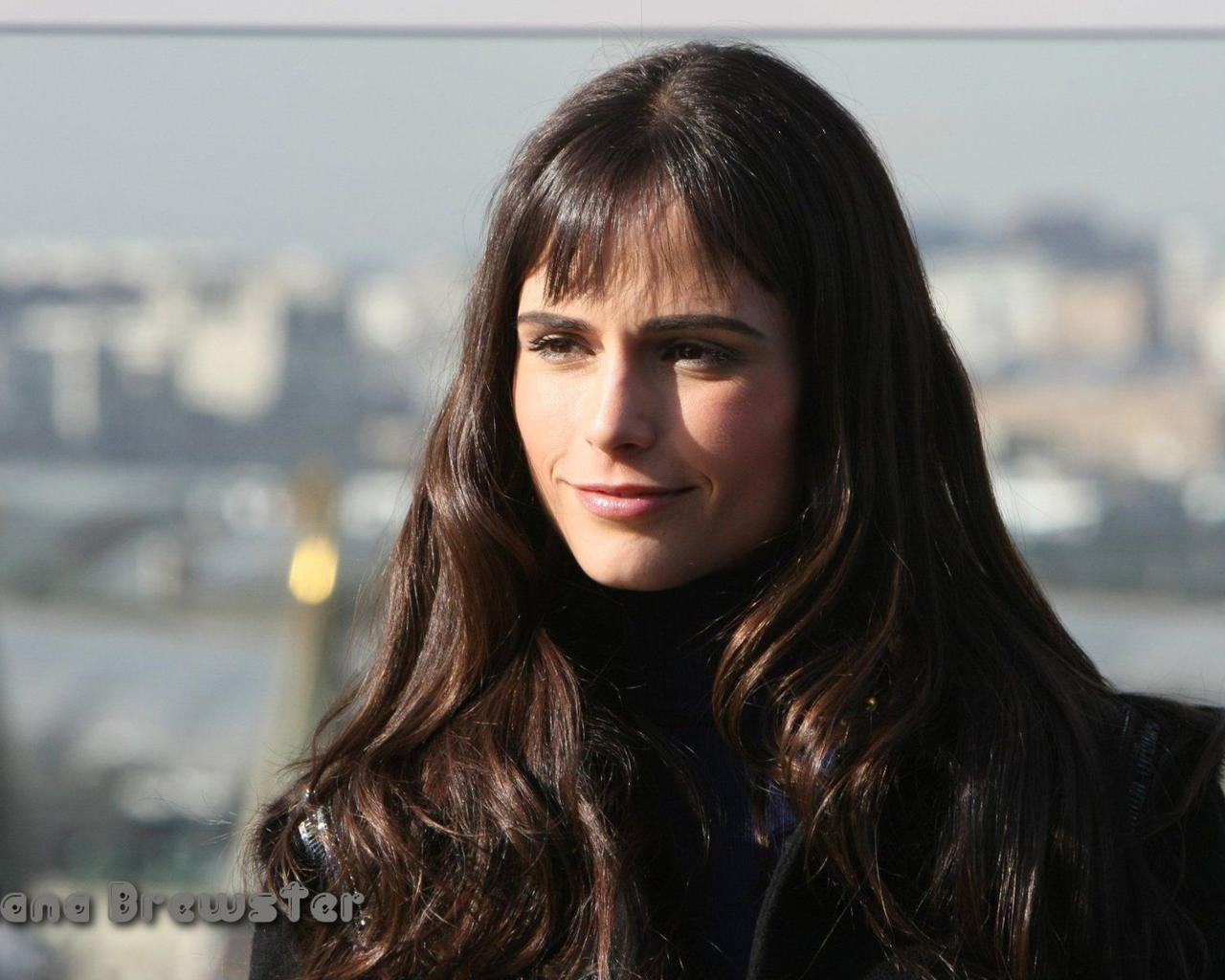 jordana brewster, actress, smile, brunette