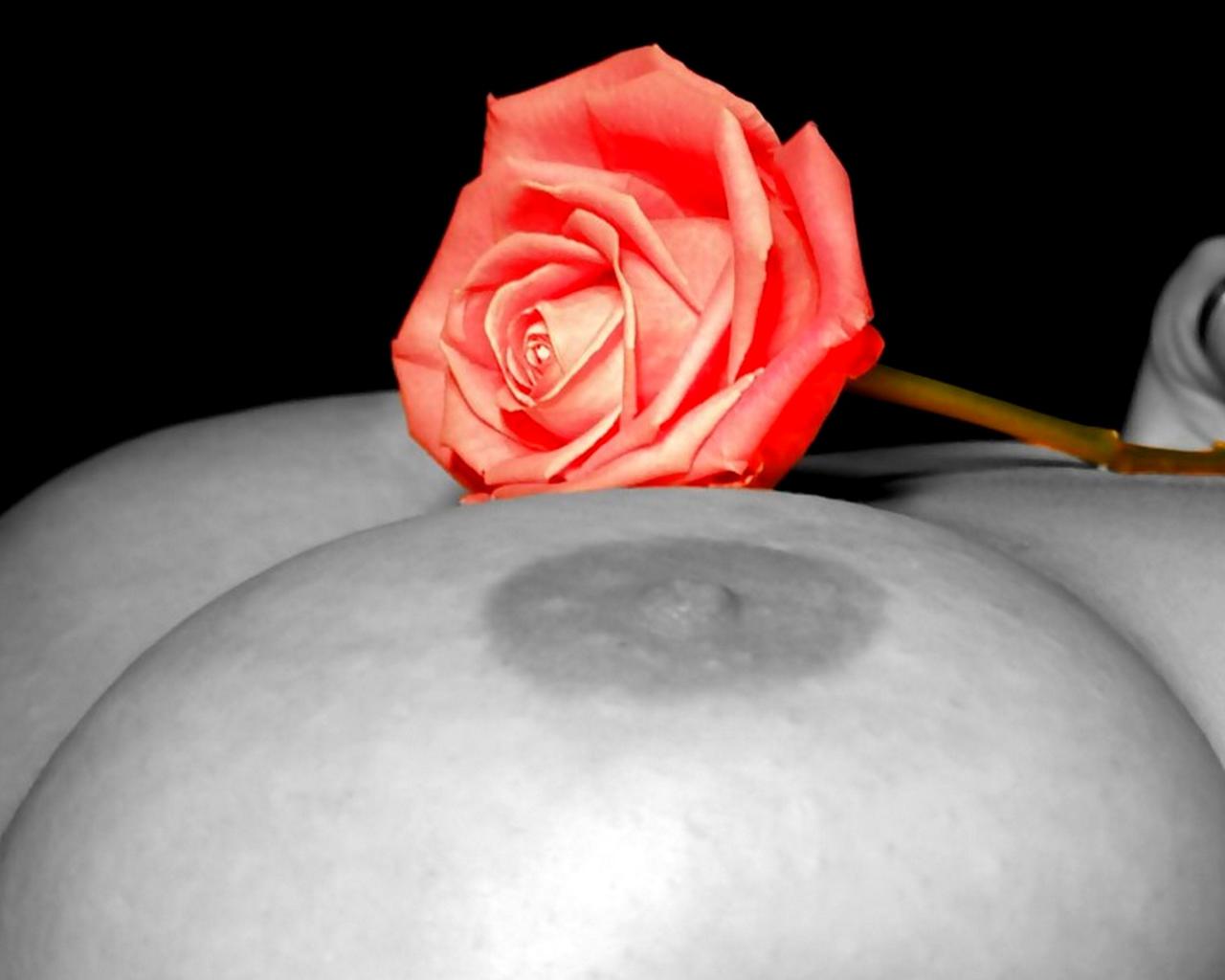 rose, flower, boobs, nipples, big tits