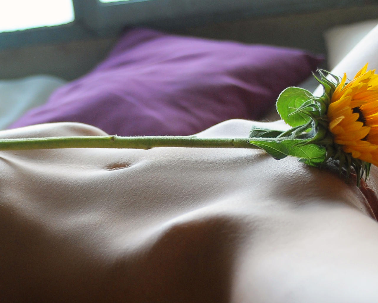 berenice, sexy girl, adult model, nude, naked, shaved pussy, pussy, flower, belly