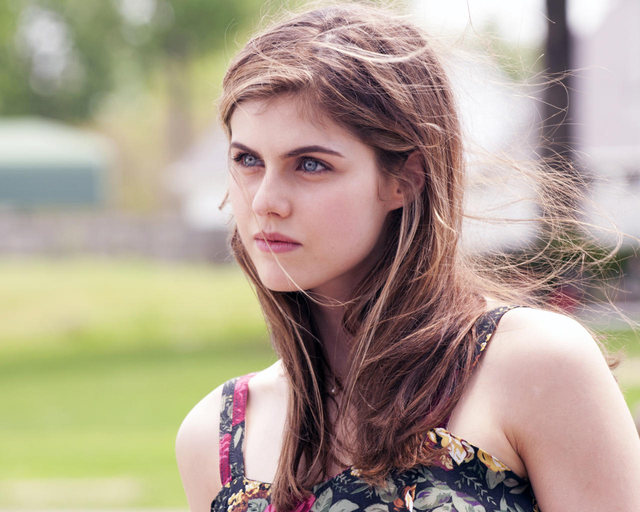 alexandra daddario, beautiful face, close-up, eyes