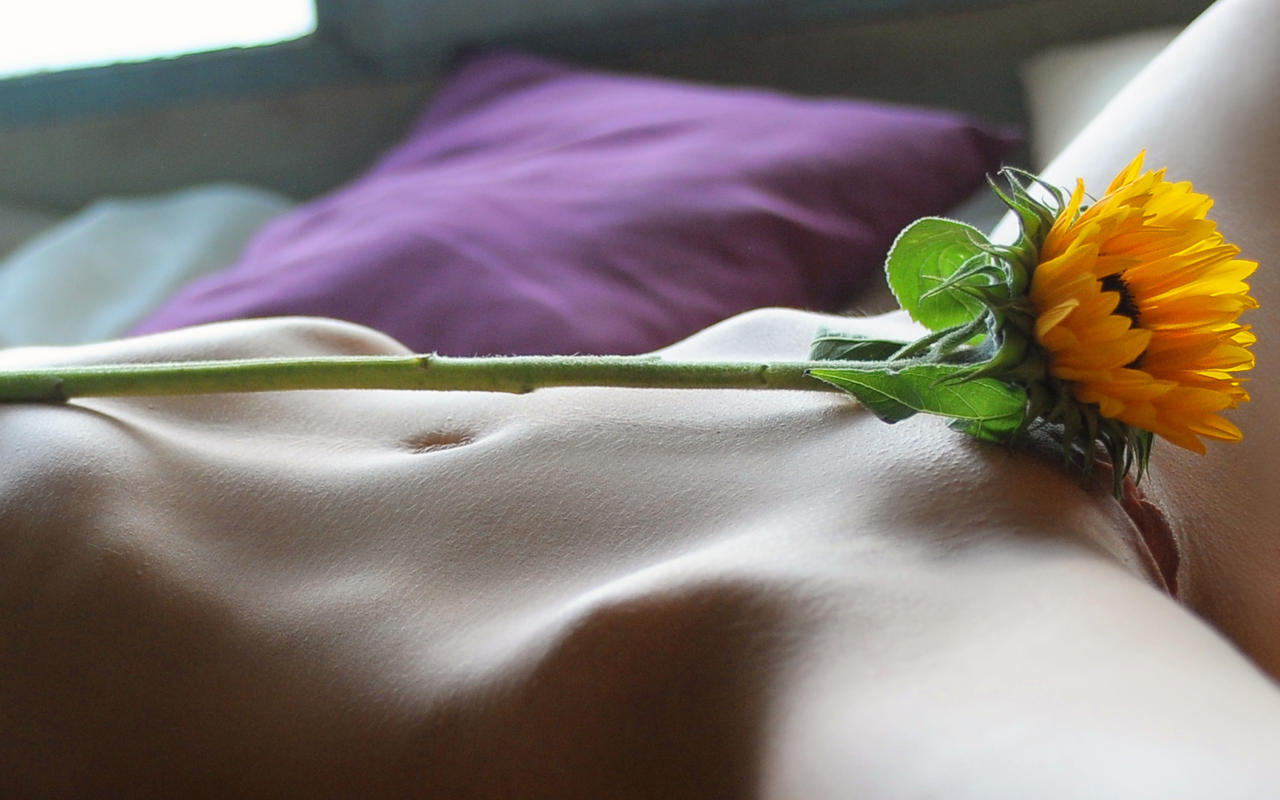 berenice, sexy girl, adult model, nude, naked, shaved pussy, pussy, flower, belly