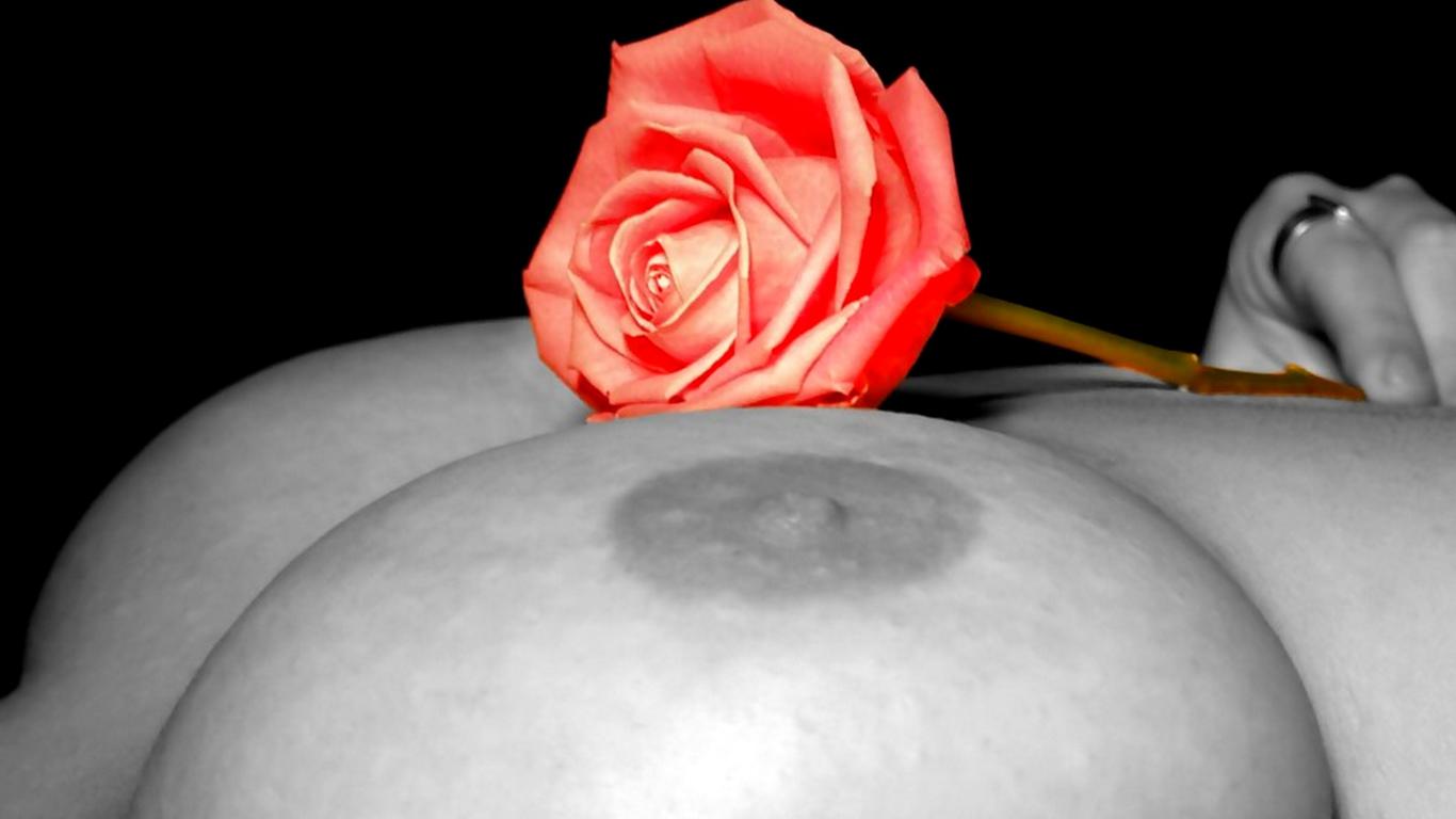 rose, flower, boobs, nipples, big tits