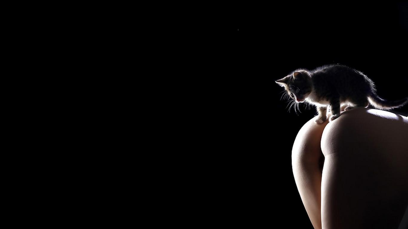 erotic, sexy, nude, hot, ass, kitty