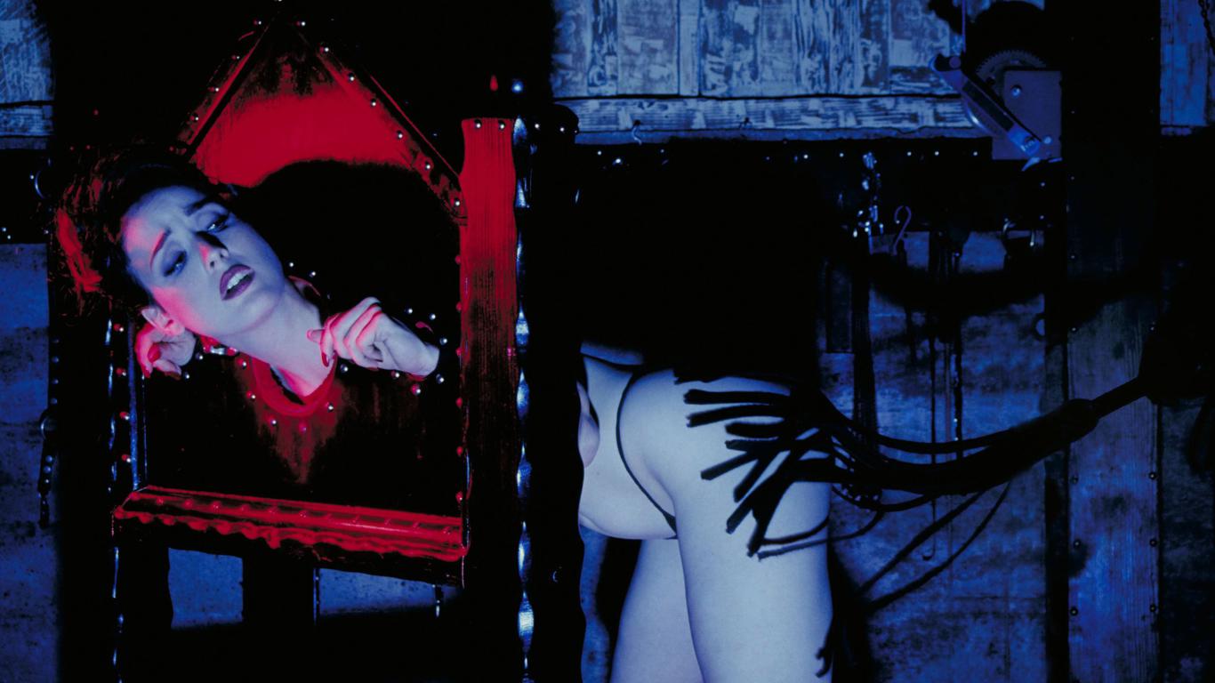 pet slave, bondage, bdsm, naked, whipped, dita von teese