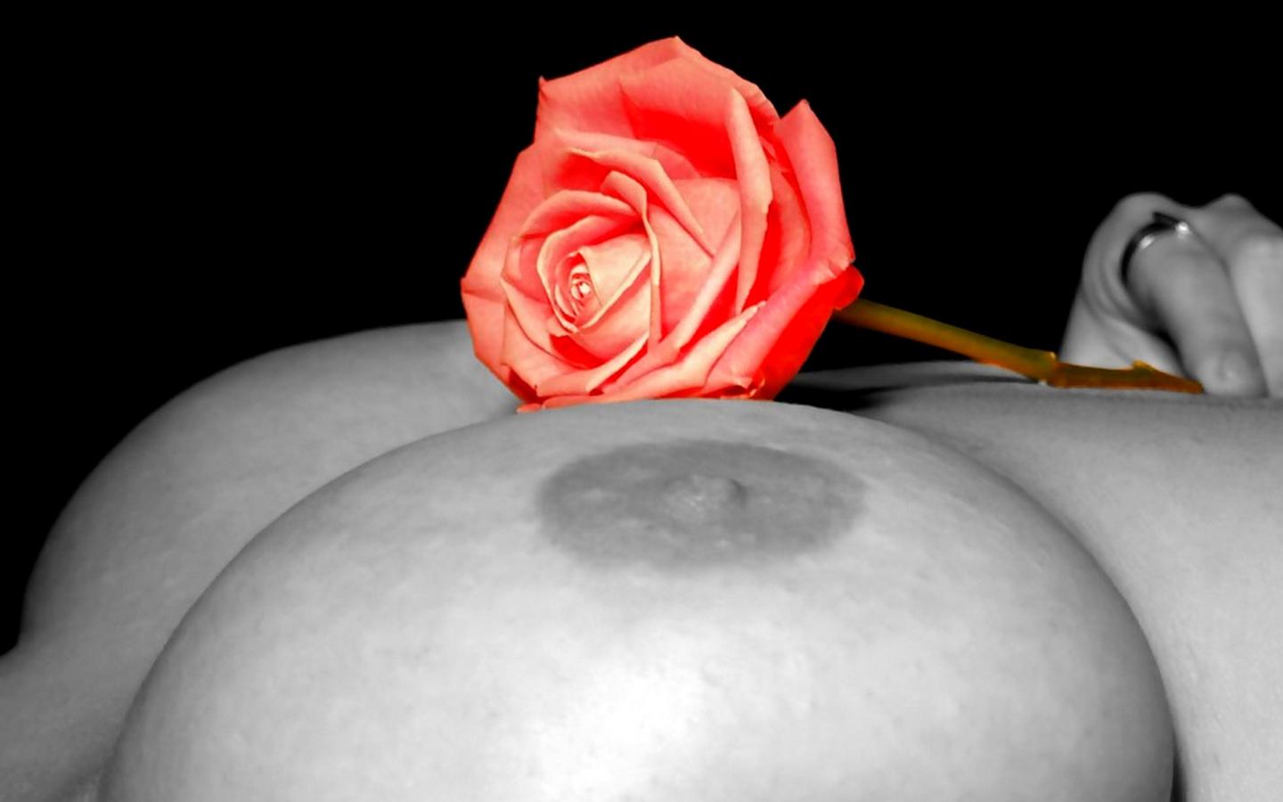 rose, flower, boobs, nipples, big tits