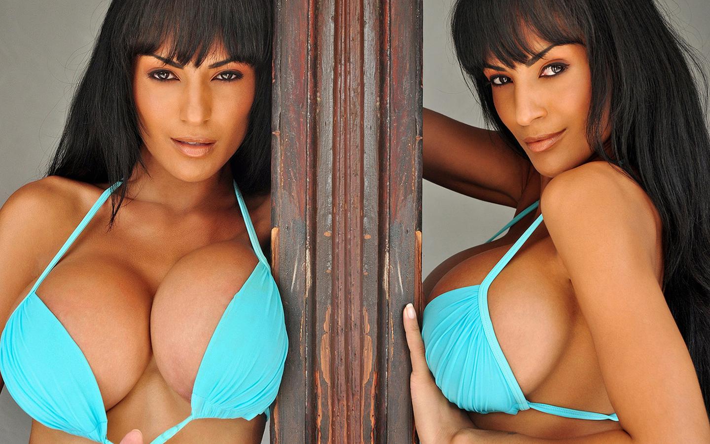 fernanda ferrari, brunette, brazilian, latina, sexy, boobs, big boobs, huge tits, bikini, compilation