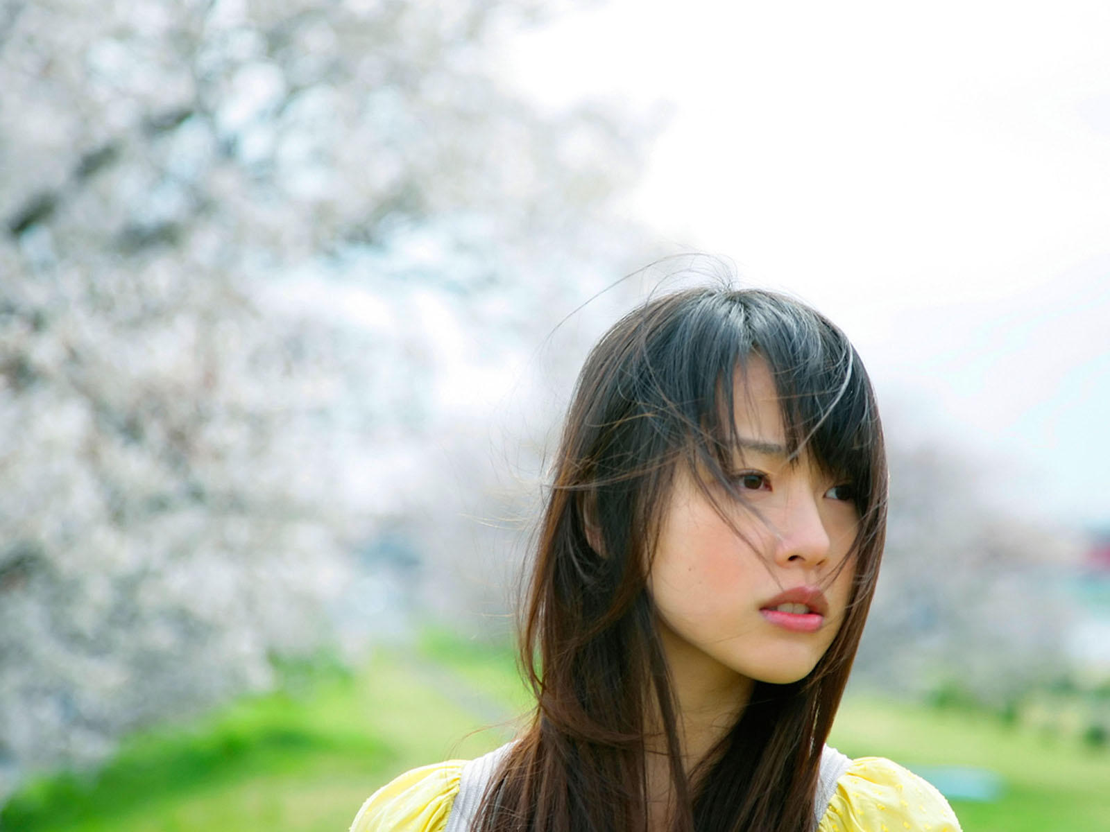 Download Photo 1600x1200 Asian Brunette Cute Gorgeous