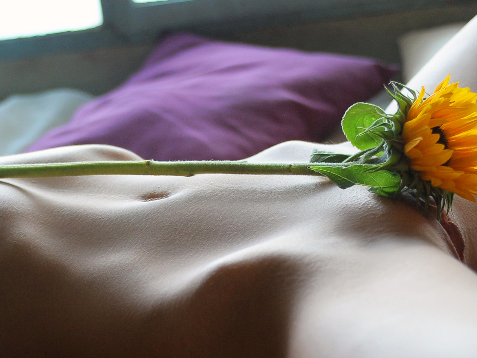 berenice, sexy girl, adult model, nude, naked, shaved pussy, pussy, flower, belly