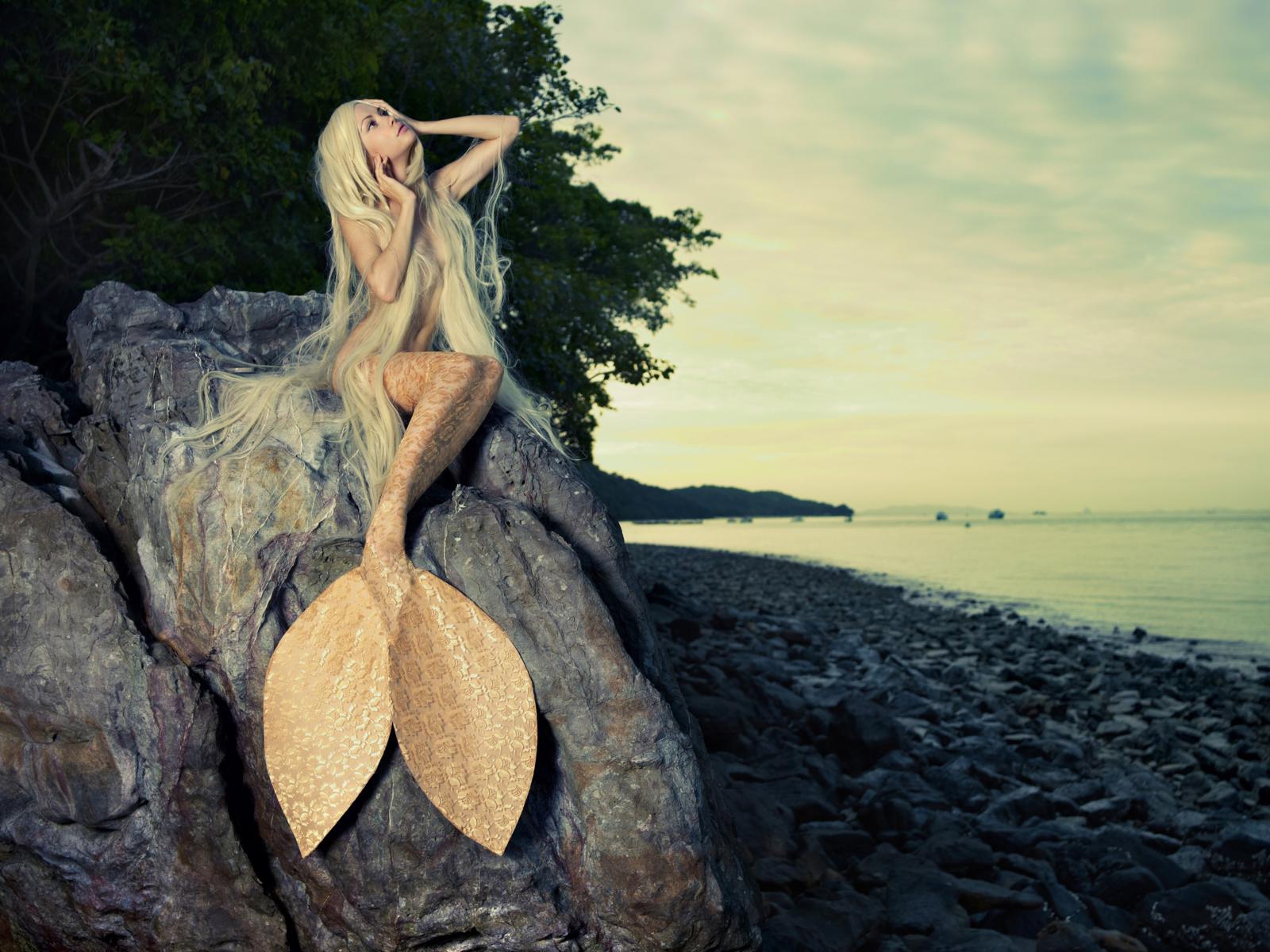 cosplay, mermaid, sea side, rock