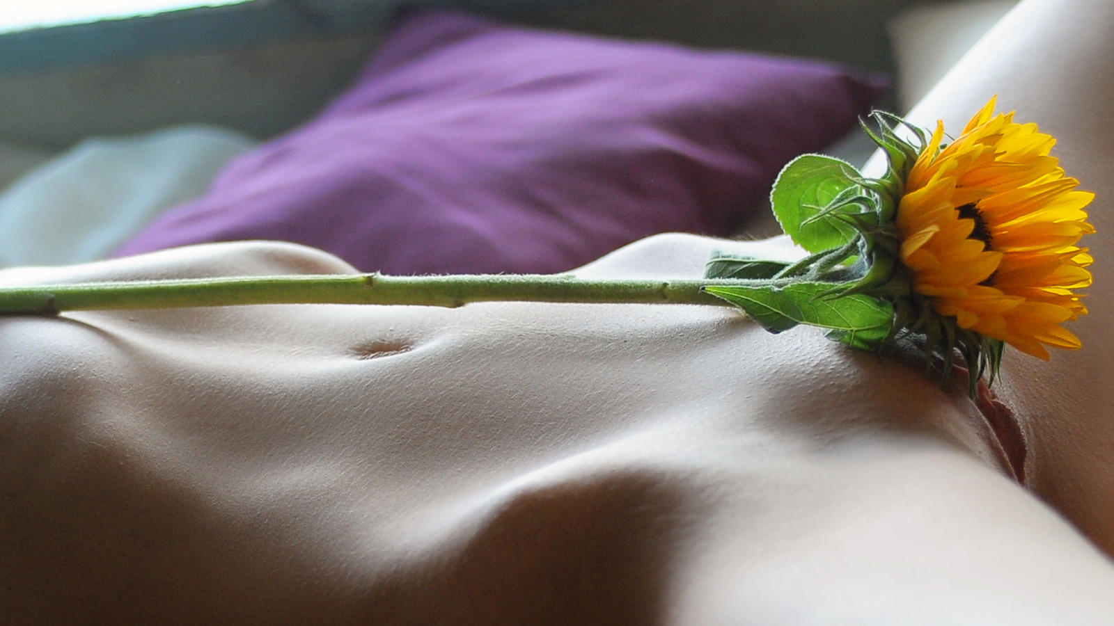 berenice, sexy girl, adult model, nude, naked, shaved pussy, pussy, flower, belly